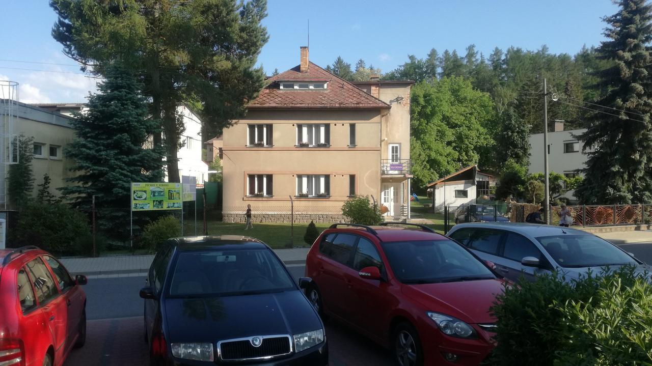 Vila Sazava Exteriör bild